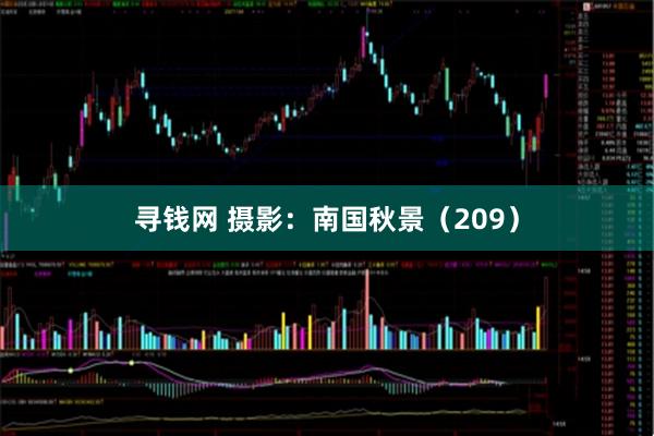 寻钱网 摄影：南国秋景（209）